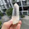 Lemurian Việt Nam 5