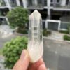 Lemurian Việt Nam 9
