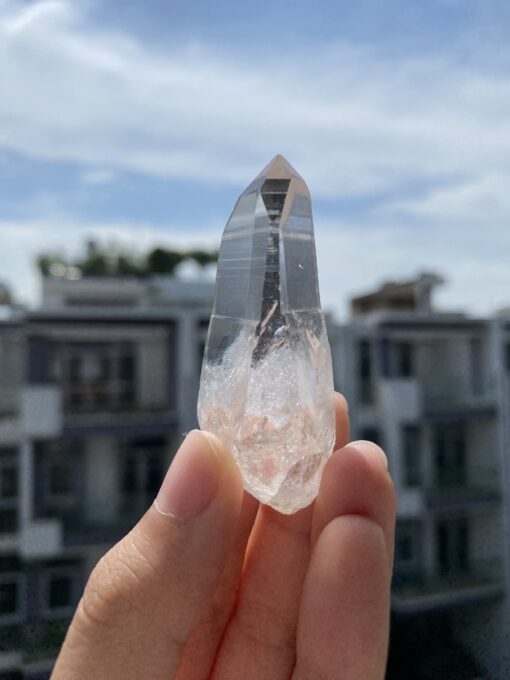 Lemurian Việt Nam LMV17 1