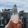 Lemurian Việt Nam LMV17 1