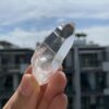 Lemurian Việt Nam LMV17 5