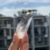 Lemurian Việt Nam LMV17 6