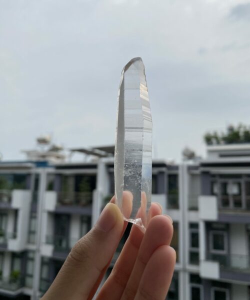 Lemurian Việt Nam 1