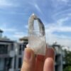 Lemurian Việt Nam 2