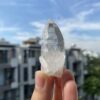 Lemurian Việt Nam 3