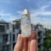 Lemurian Việt Nam 4