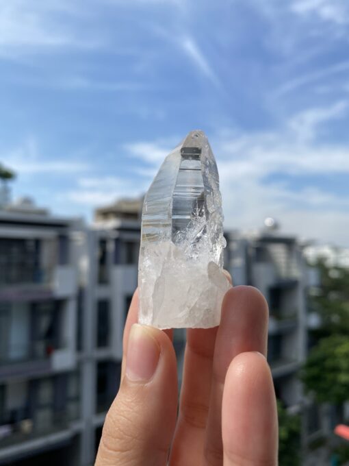 Lemurian Việt Nam 6