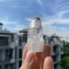 Lemurian Việt Nam 7