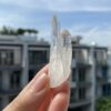 Lemurian LMV20 2