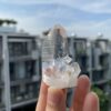 Lemurian Quartz LMV21 7