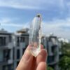 Lemurian LMV22 2