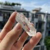 Lemurian LMV22 6