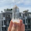 Lemurian Quartz LMV23 2