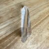 Lemurian Quartz 1