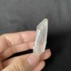 Brazilian Lemurian BLM63 4