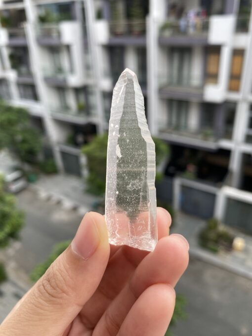 Lemurian BLM66 1