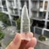 Lemurian BLM66 1