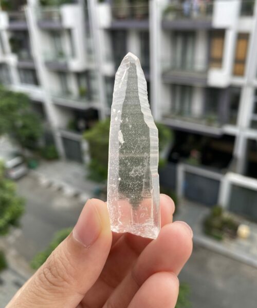 Lemurian BLM66 1
