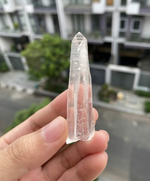 Lemurian BLM66 2