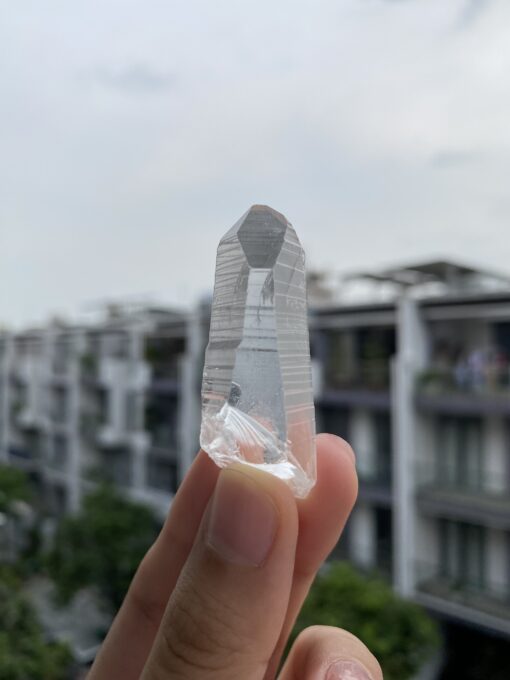 Lemurian BLM67 1