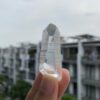 Lemurian BLM67 1