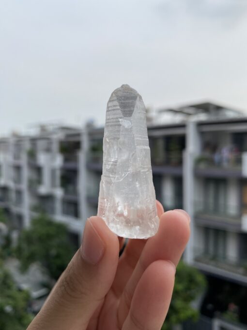 Lemurian BLM68 1