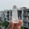 Lemurian BLM68 1