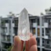 Lemurian BLM68 2