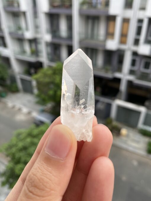 Lemurian BLM69 1