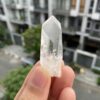 Lemurian BLM69 1