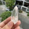 Lemurian BLM69 2