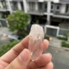 Lemurian BLM69 6
