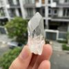 Lemurian BLM69 7
