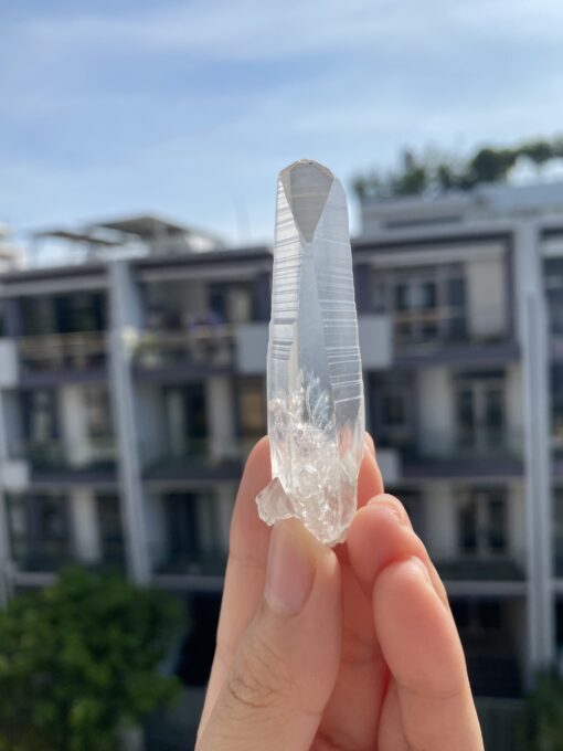 Brazilian Lemurian - BLM71 1