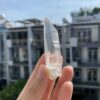 Brazilian Lemurian - BLM71 2