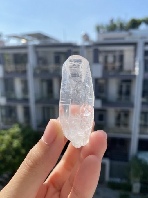 Lemurian Quart BLM72 1