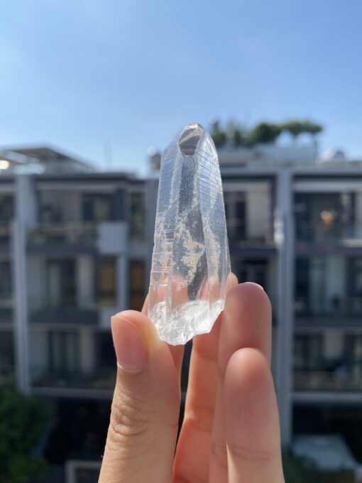 Lemurian BLM73 1