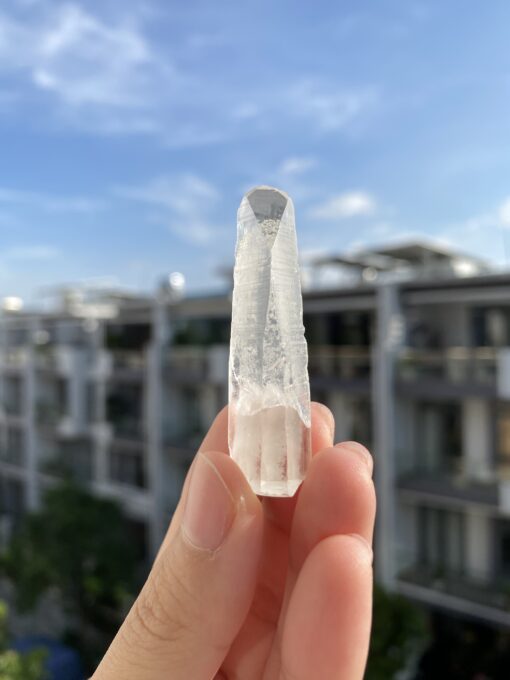 BLM74 Brazilian Lemurian 1