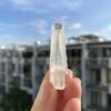 BLM74 Brazilian Lemurian 1
