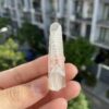 BLM74 Brazilian Lemurian 2