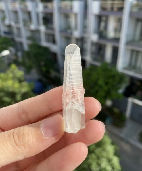 BLM74 Brazilian Lemurian 2