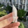 BLM74 Brazilian Lemurian 3