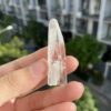BLM74 Brazilian Lemurian 4