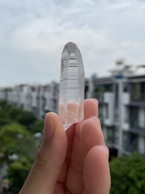 Brazilian Lemurian BLM75 1