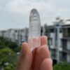 Brazilian Lemurian BLM75 1