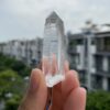 Brazilian Lemurian BLM75 2