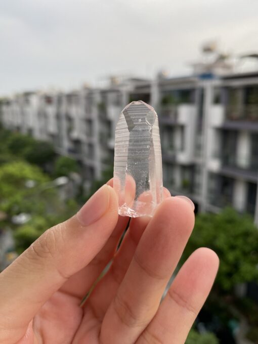 Brazilian Lemurian BLM76 1