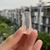 Brazilian Lemurian BLM76 1