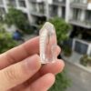 Brazilian Lemurian BLM75 2