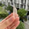 Brazilian Lemurian BLM75 3